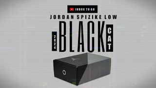 BLACK CAT 2024 Jordan Spizike Low DETAILED LOOK + PRICE INFO