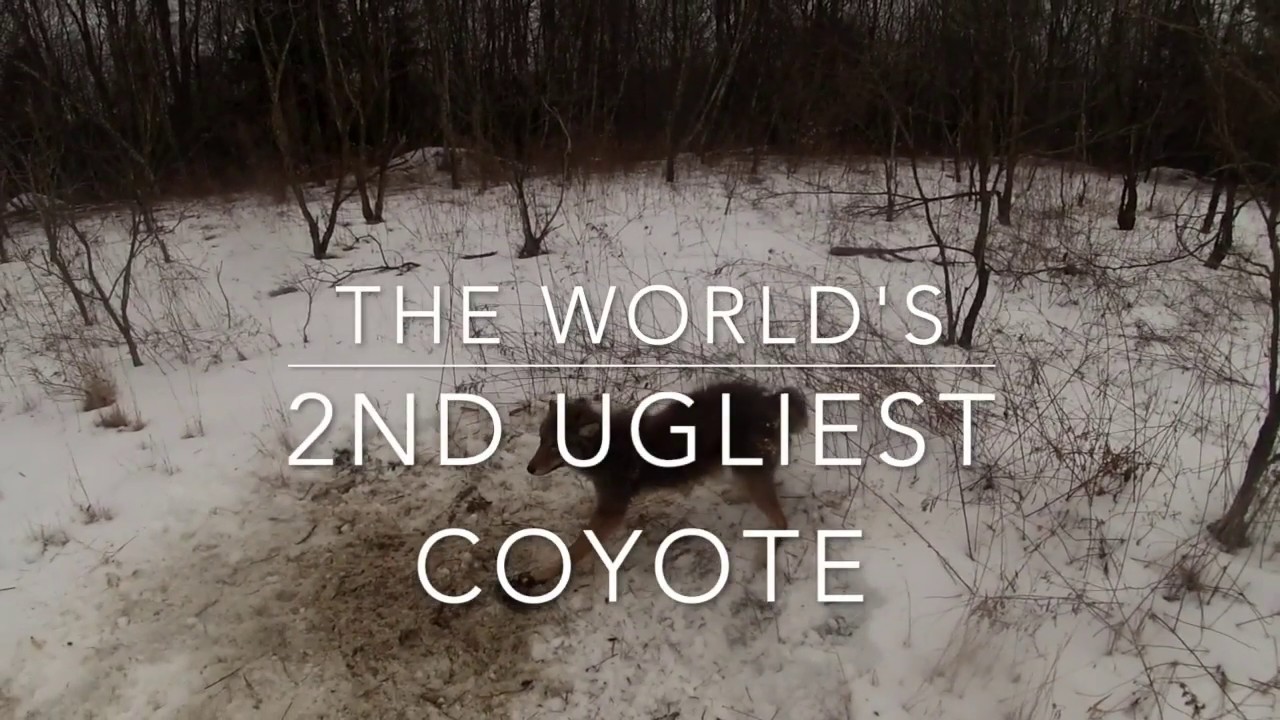 Trapping in PA 2018-19 Season 4 Final Episode.