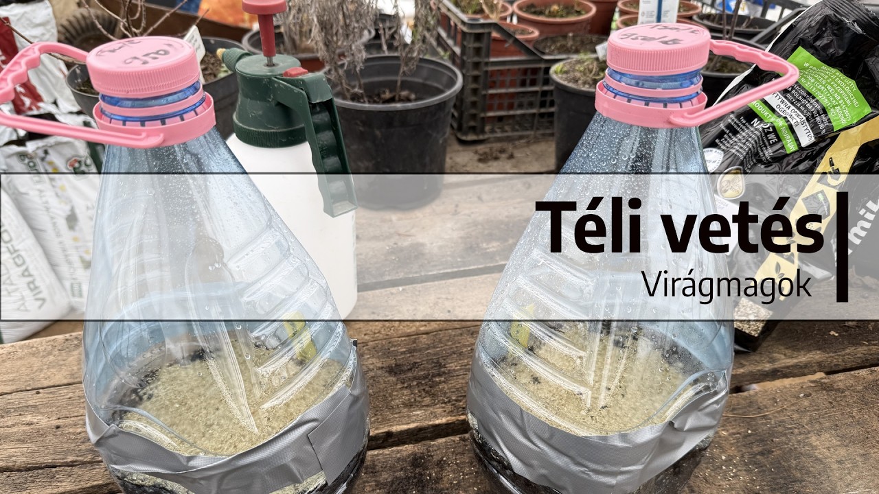 Ep. 404.: Téli vetés