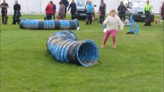 Jessica and Taz First run Easter Celebration 150417 G1 5 agility