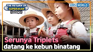 [IND/ENG] Bukan kasih ke binatang, Triplets malah makan wortelnya! | Nostalgia Superman | KBS 140921