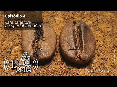 POD CAFÉ ROBUSTA