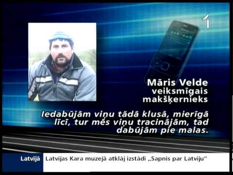 Video: Netālu No Čeļabinskas Tika Noķerta Zivs Ar Cilvēku Zobiem - Alternatīvs Skats