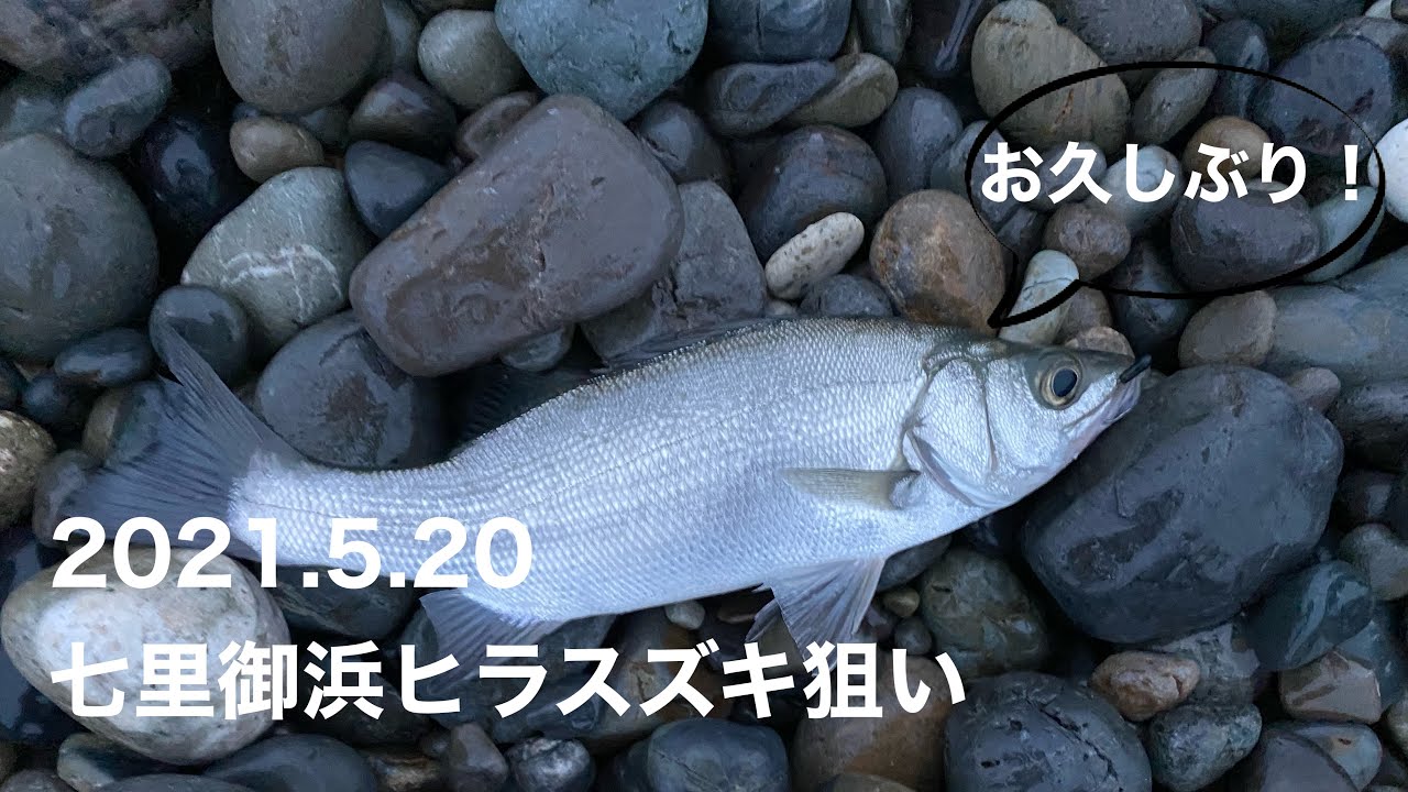 21 5 七里御浜早朝ショアジギング 熊野 尾鷲で釣りする