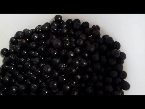 Сегодня получилось! Черноплодка!