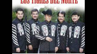 Miniatura de vídeo de "la manzanita los tigres del norte"