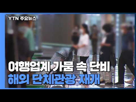 &amp;#39;고사 위기&amp;#39; 여행업계 가뭄 속 단비...여행상품 &amp;#39;봇물&amp;#39; / YTN