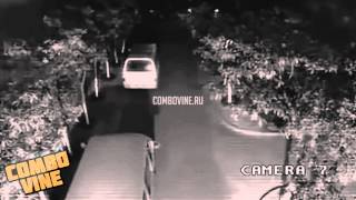Combo Vine #654