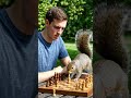 playing chess with squirrel #symbiotespiderman #dinosaur #alittlebitofeverything