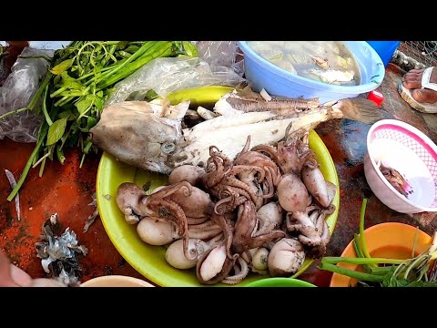 Video Bữa Cơm Chiều Lai Rai Xị Đế • Mực Tuộc, Cá Bò Da Luộc,... - youtube