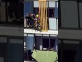 Firefighters rescue Jack Russell from 13th floor ledge