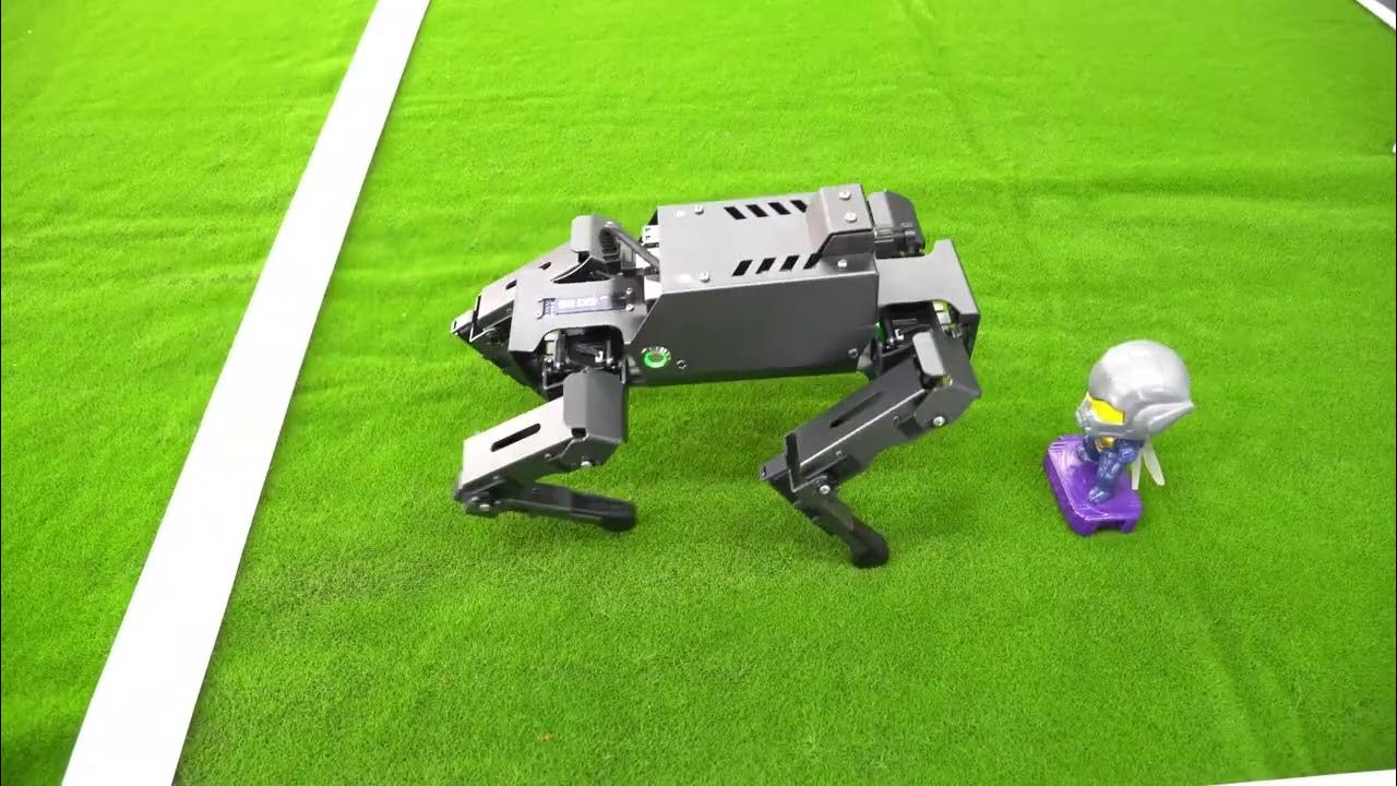 12dof robot dog dogzilla s1 s2 for raspberry pi 4b ubuntu 20 04 ros2