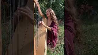 Esprit de louve, album harpe  #elfique #chant #forest #harp #harpe #loup #loupgarou #romantasy