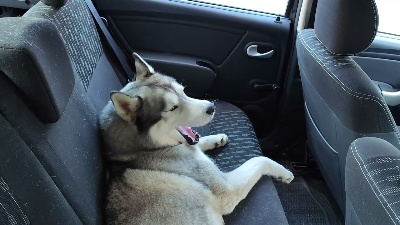 J'AMÉNAGE l'appartement #vanlife #appartement 