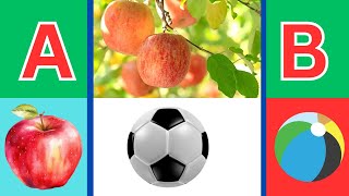 A For Apple B For Ball C For Cat