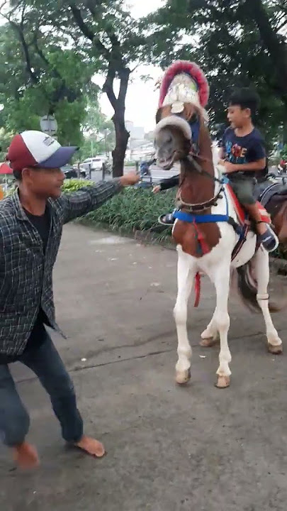 kuda BKT ngamuk bg atan jadi takut 😀 #vlogatanutun #kuda #bkt #delmankuda #ngamuk