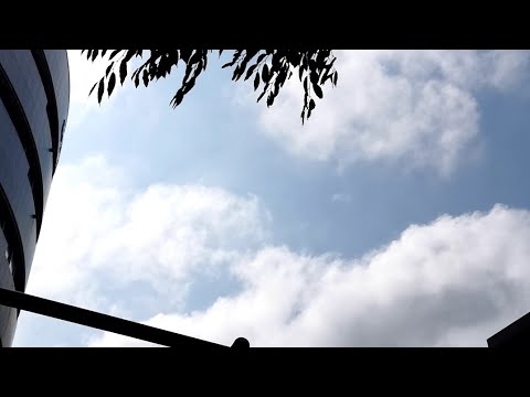 花（中孝介）