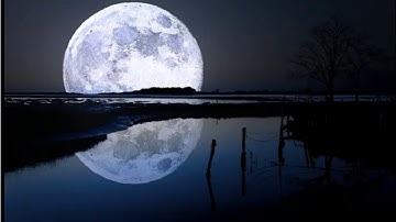 قنوت ليلة 15 رمضان 1440 هـ . القارئ: عبدالعزيز بافضل