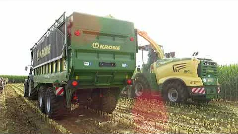 K čemu se používá kukuřičné zrno?