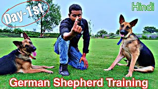 German Shepherd Training Day 1st : Best way to treat your dog || Beginner's must watch (Jack & Jill)