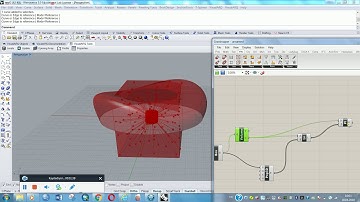 Rhino Grasshopper Bird Nest Stadium