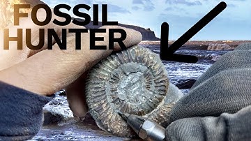 Air Tools Used To Prepare Fossils From Stone! | Fossil Hunter