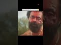 Anmial movie My favorite scene #viral #motivation #nnn #shortvideos #aesthetic #dance #viralvideos