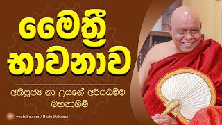 මෛත්‍රී භාවනාවෙන් ධ්‍යාන දක්වා යන ආකාරය - maithree bawanawa - ven na uyane ariyadhamma maha thero