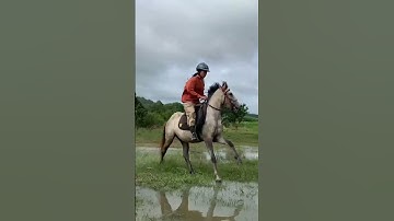 Con Gái Thế Hệ Z Cưỡi Ngựa Như Thế Nào???