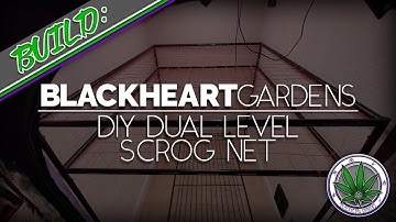 Building a DIY Dual Level SCROG Net for the Flower Room