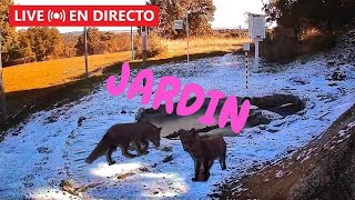 🔴 LIVE WEBCAM | Jardín Meteorológico - Meteo Garden in Spain 🇪🇸