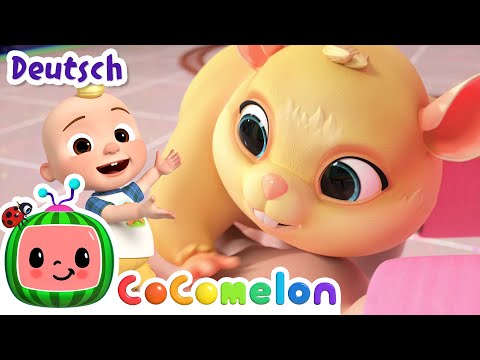 Hamsterlied 🐹 | CoComelon - JJ's Animal Time Deutsch | Cartoons und Kinderlieder
