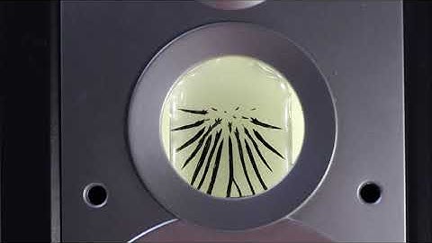 3D-Ferrofluid-Audio-Visualizer playing a "lazy-amp-bluesy-short-intro"