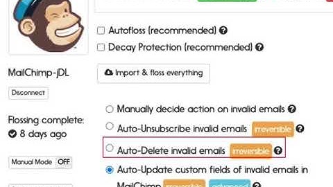 MailChimp email verification options