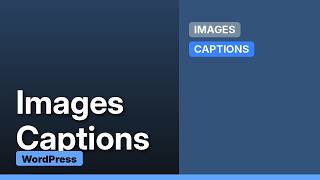 Wordpress: How to edit caption for images and exclude it from excerption query (3 Solutions!!) News