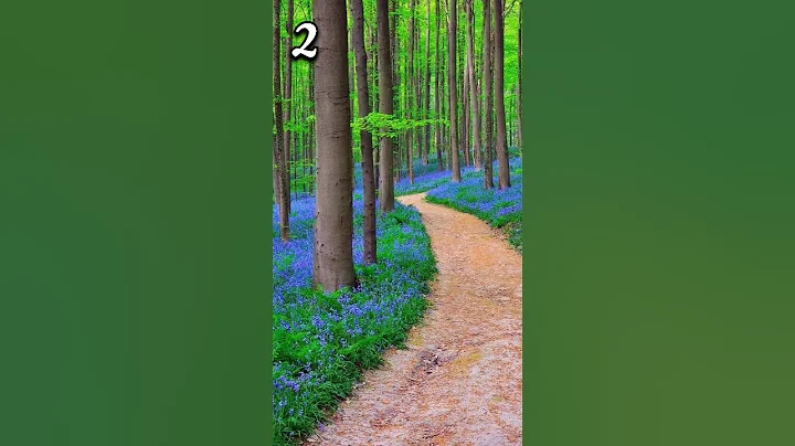 best place for walk alone #3 😌😌 #shorts #shortvideo #relaxing #ytshorts #motivation