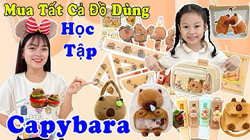 Mua Tất Cả Đồ Dùng Học Tập Capybara - Back To School