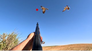 New hunting season in Turkey, quail hunting and dove hunting, please follow