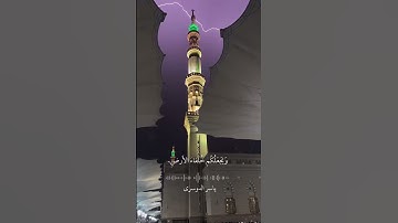 ايات من سورة النمل - الشيخ ياسر الدوسري
