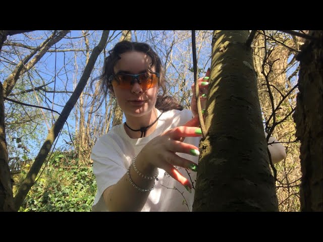 ASMR in Nature 🌷
