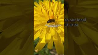 When Government gets behind nature