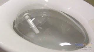 How Does a Bidet Work - bidetsPLUS.com