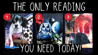 The ONLY READING You Need TODAY! 🤩 pick a card reading 🃏tarot card reading