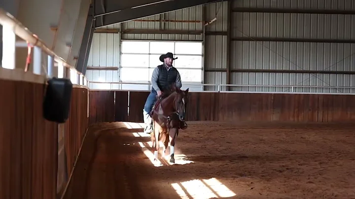2020 Colt Hollywood Tinseltown x Shinetta Gun (by ...