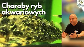 Jak rozpoznawać choroby ryb 🐠🔍 #akwarium #ryby #choroby #ospa #pleśniawka