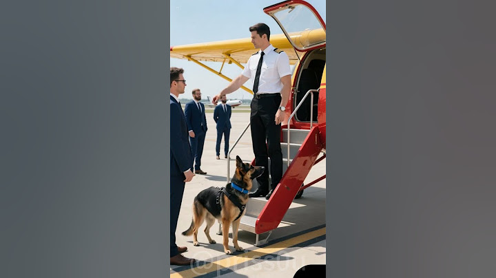 Hero dog saves human life from dangerous accident #dog #pets #shorts #rescue   #animals