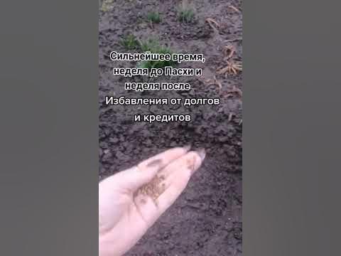 ИЗБАВЛЕНИЕ ОТ ДОЛГОВ И КРЕДИТОВ - YouTube