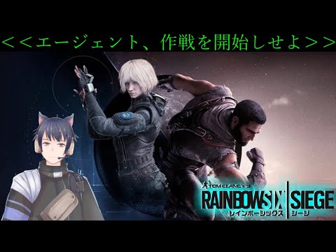 【#R6S】シージ新シーズンやる　【アレフ・シェイファ/ぱんぷきん所属】