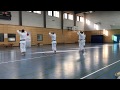 Jka karate berlin shotokan kyokai berlin keiko osame 2017 berlin mitte trainer bassai dai