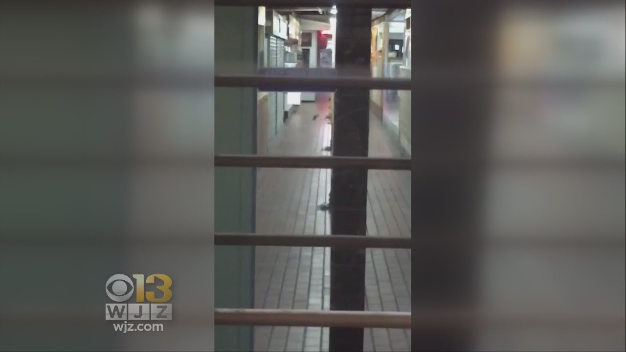 Northeast Market Voluntarily Closed After Video Of Rats Inside Goes Viral